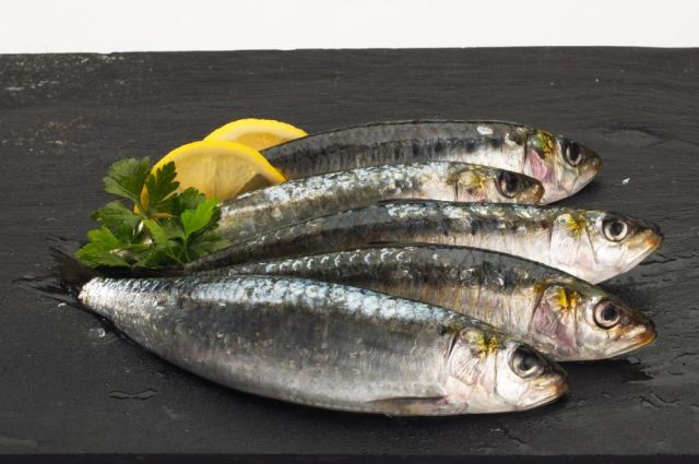 Sardinha é peixe preferido do consumidor de classes mais altas