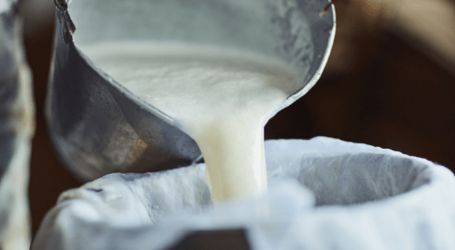 Leite poderá ter sua proteína modificada para ajudar a digestão em idosos