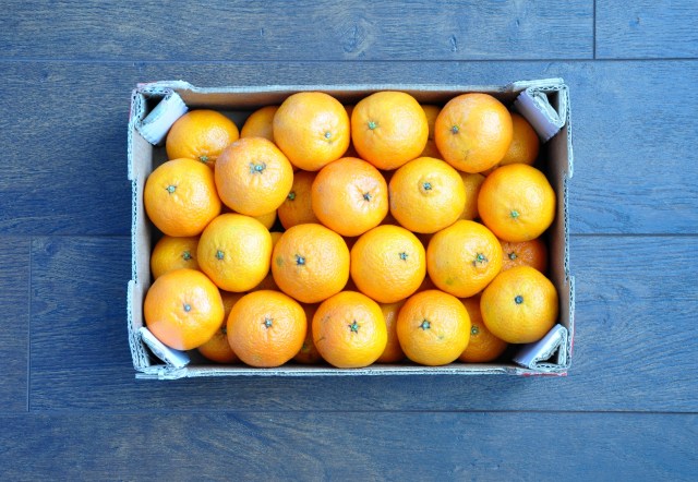 shutterstock_235578622