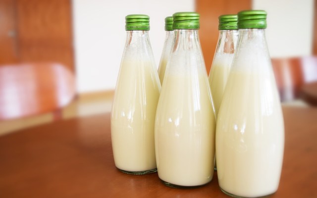 Mais um leite vegetal introduzido no mercado