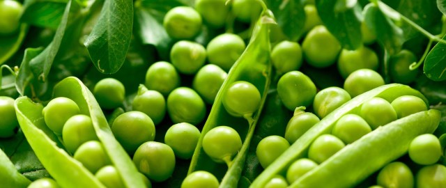 Quantia ideal de proteínas diárias ingeridas  