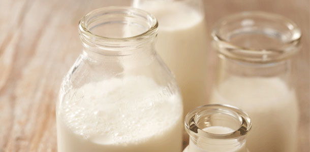 Será que o leite de origem vegetal pode substituir o leite de vaca?