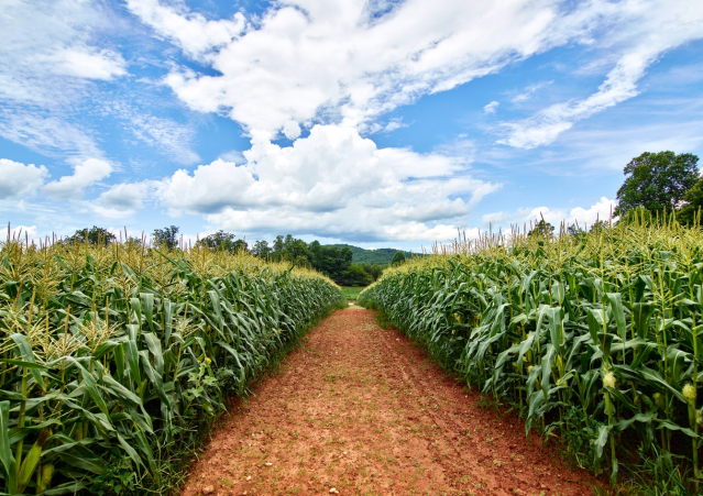 Exportações da América Latina ganham força