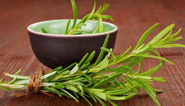 Como o alecrim pode ajudar sua a saúde