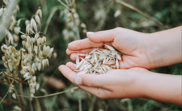 Próxima década será produtiva para o setor de grãos