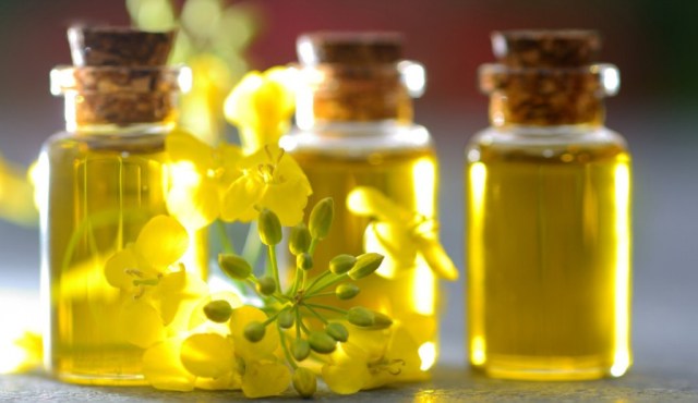 Óleo de canola pode estar associada a dano cerebral