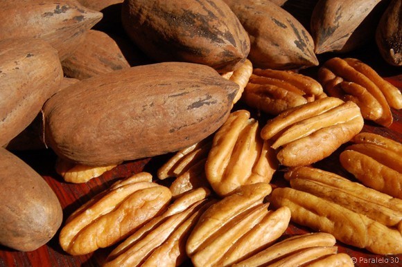 Nozes e castanhas fazem muito bem ao coração, diz estudo