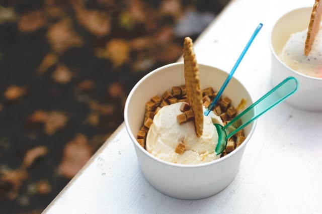 Sorvete probiótico à base de leite de cabra