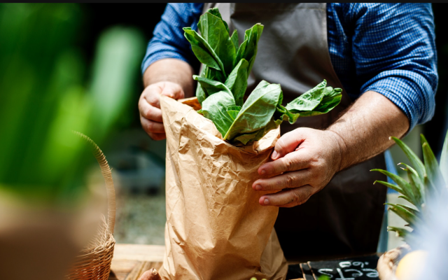 Produção agrícola aumenta potencialmente por conta da tecnologia 